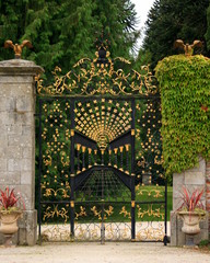 grille d'honneur