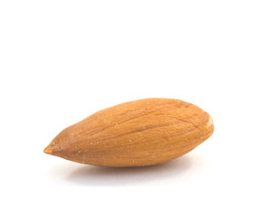 almond nut