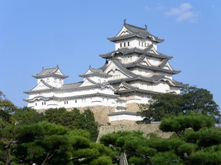 Fototapeta premium Himeji Castle