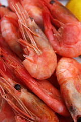Shrimps