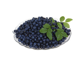 blackberrys with leaves on plate isolated on white background