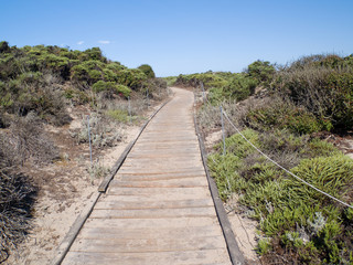 Fototapeta na wymiar Pathway leading through the dunes to the beach.