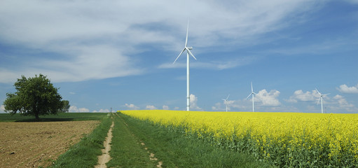 farm of windturbines close to rape field France