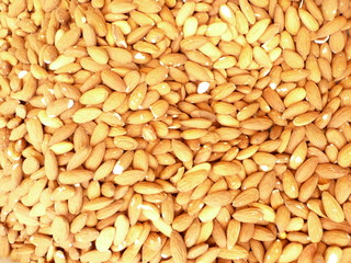 Almonds - Amandes
