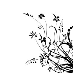 FLORAL NOIR VECTEUR