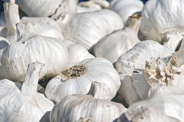 Knoblauch