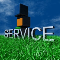 Service