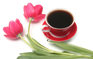 Fototapeta na wymiar Two red tulips and cup from coffee on a white background