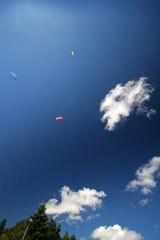 parapentes dans le ciel