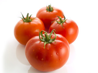 Tomato