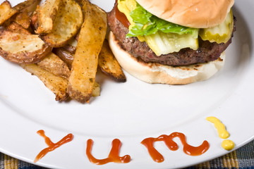 nice big juicy hamburger on a white plate