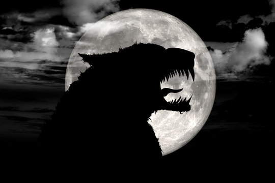 Wolfy