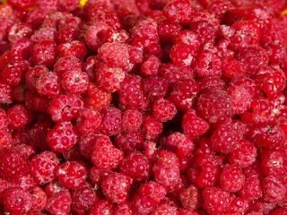 framboises