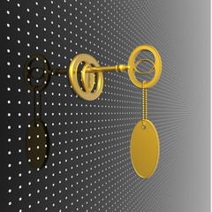 golden key with blank label