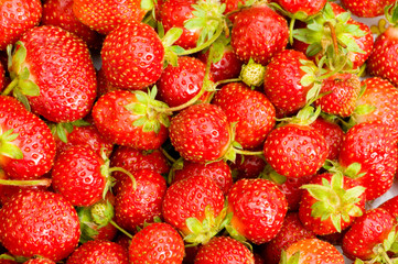 Fruit concept - red strawberries arranged as background