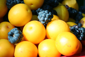 Berry and fruits