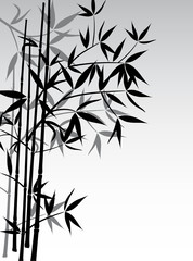 Fototapeta na wymiar Bamboo background, vector illustration