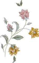 four flower illustration