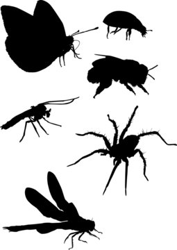 mosquito and other insect silhouettes