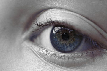 optique - oeil bleuté