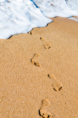 Traces on sand. Ocean