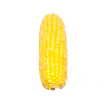 Yellow young corn isolated on white.
