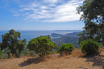 provence