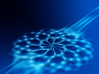 blue cosmos 3 © Lena Balk