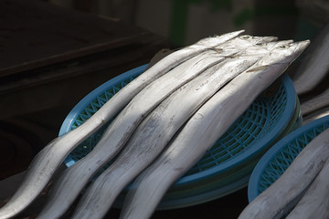 Fisch © Angelika Bentin