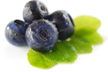 Blueberries over white background. Shallow depth of field.
