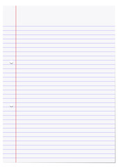 An illustration of one sheet of white A4 lined paper.