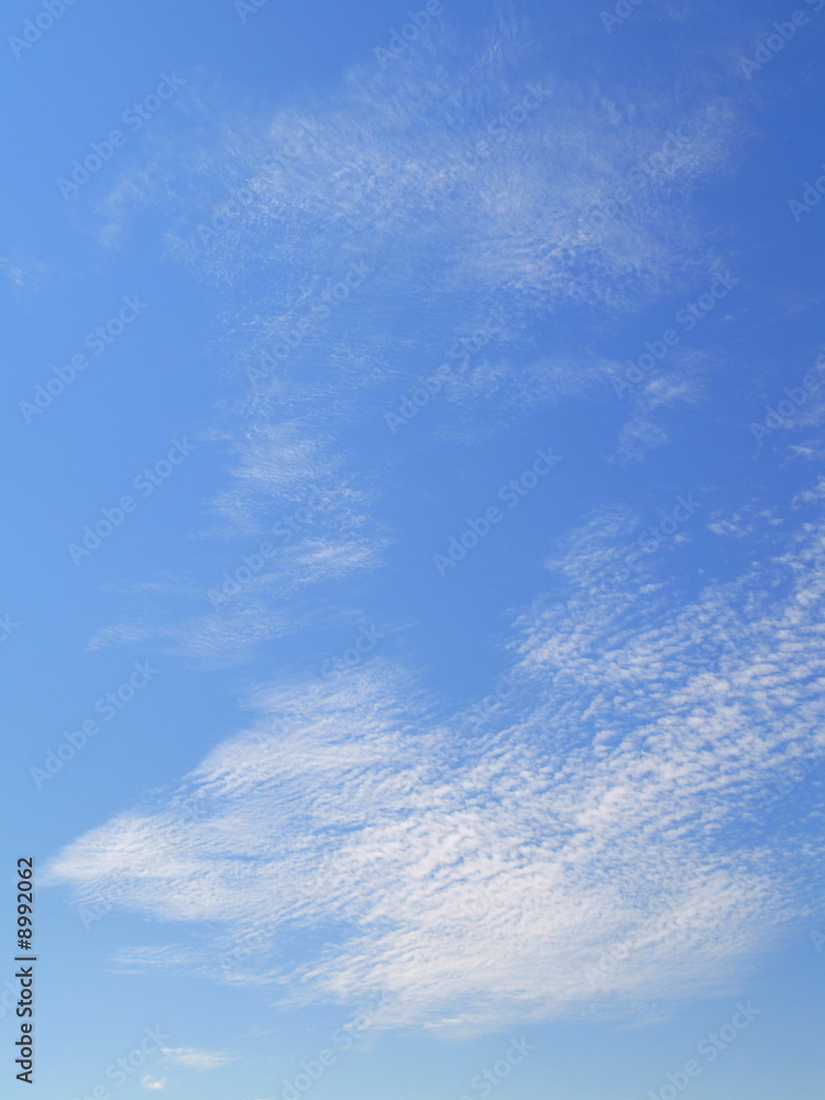 1000_F_8992062_re1yEUThdOwjlF6KUvdo2GiTZkFnEpCw.jpg