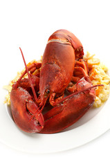 Irish food - lobster on butter potatoes