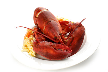 Irish food - lobster on butter potatoes