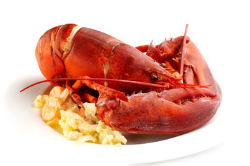 Irish food - lobster on butter potatoes