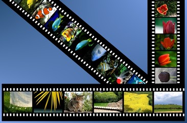 Film Strips