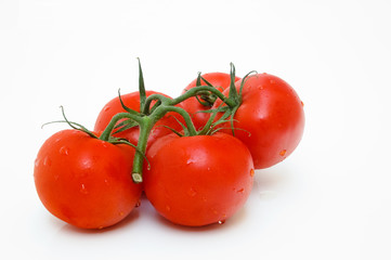 Tomatoes