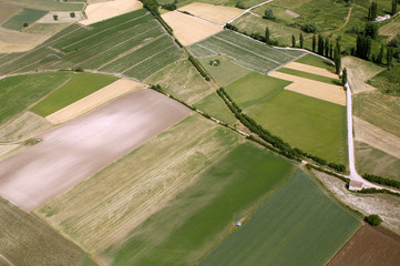 Agricoltura in Umbria