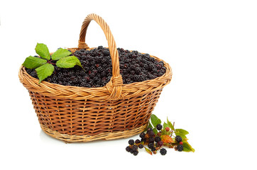Fototapeta na wymiar Basket of blackberries isolated on white background.