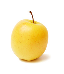 Apple golden on a white background.