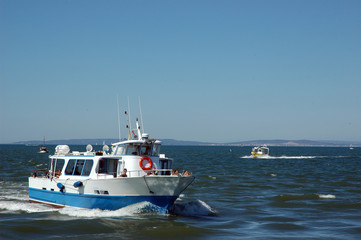 Promenade en mer