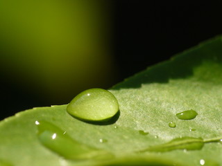 Belle goutte d'eau