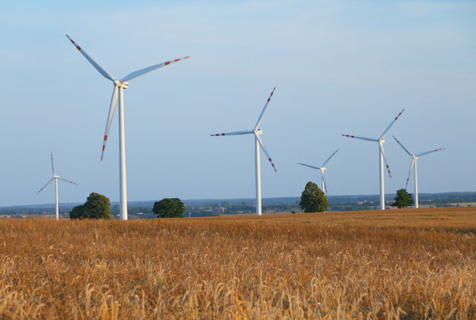 Power generating wind turbines on cultivated wheat field, Poland