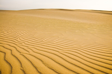 Sand dunes