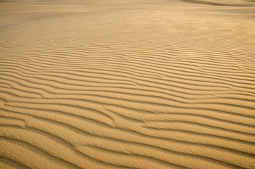 Sand dunes