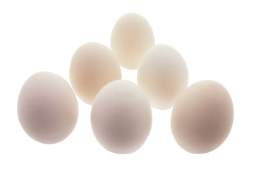 White Eggs on White Background