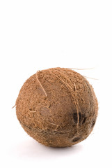 Coconut