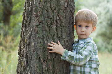little boy embrace a tree