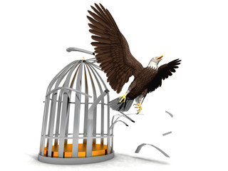 liberty