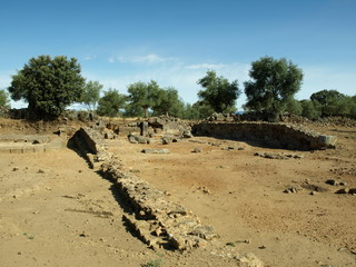 Cáparra 14